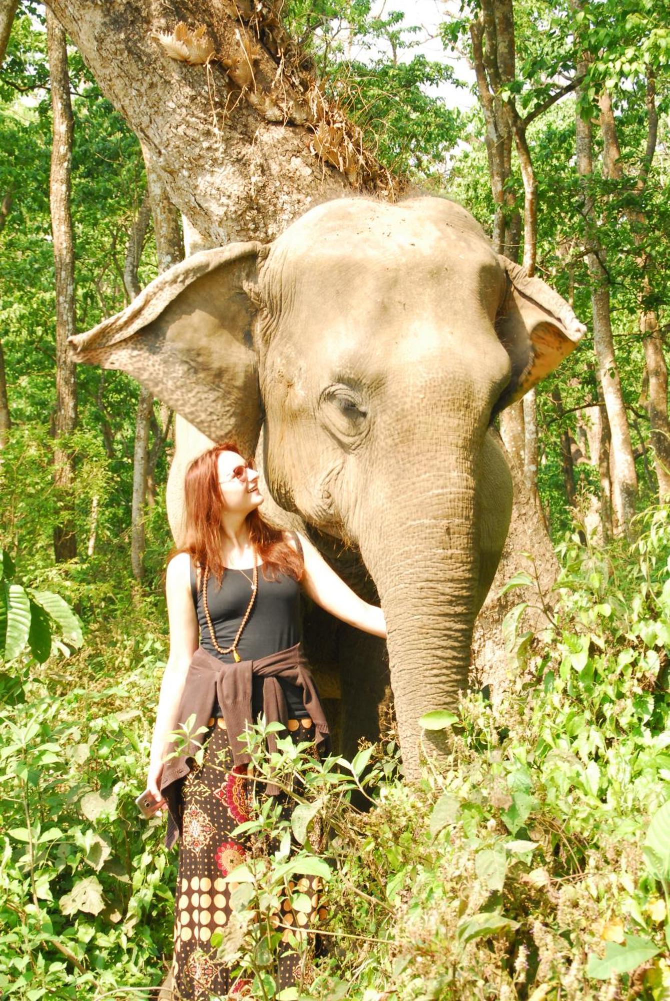 Hotel Garden Of Dreams Sauraha Exterior foto